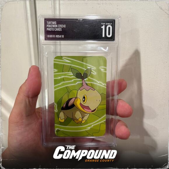 Pokemon - Turtwig Photo Card - Top Shelf 10 - Picture 1 of 3